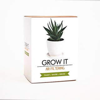 Gift Republic - Grow it - Květina pro lepší vzduch