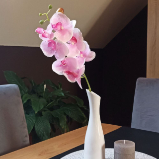 4Leaders Domácnost - Umělé květiny orchidej - světle růžová