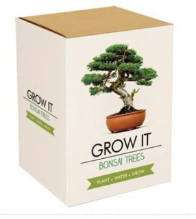 Gift Republic - Grow it - Bonsai